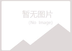 青州晓夏采矿有限公司